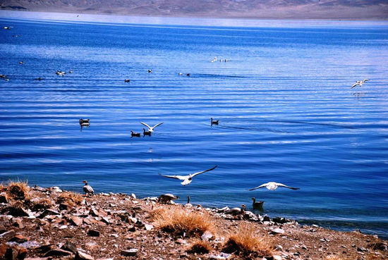 【西藏最美湖泊】西藏最美的湖泊有哪些