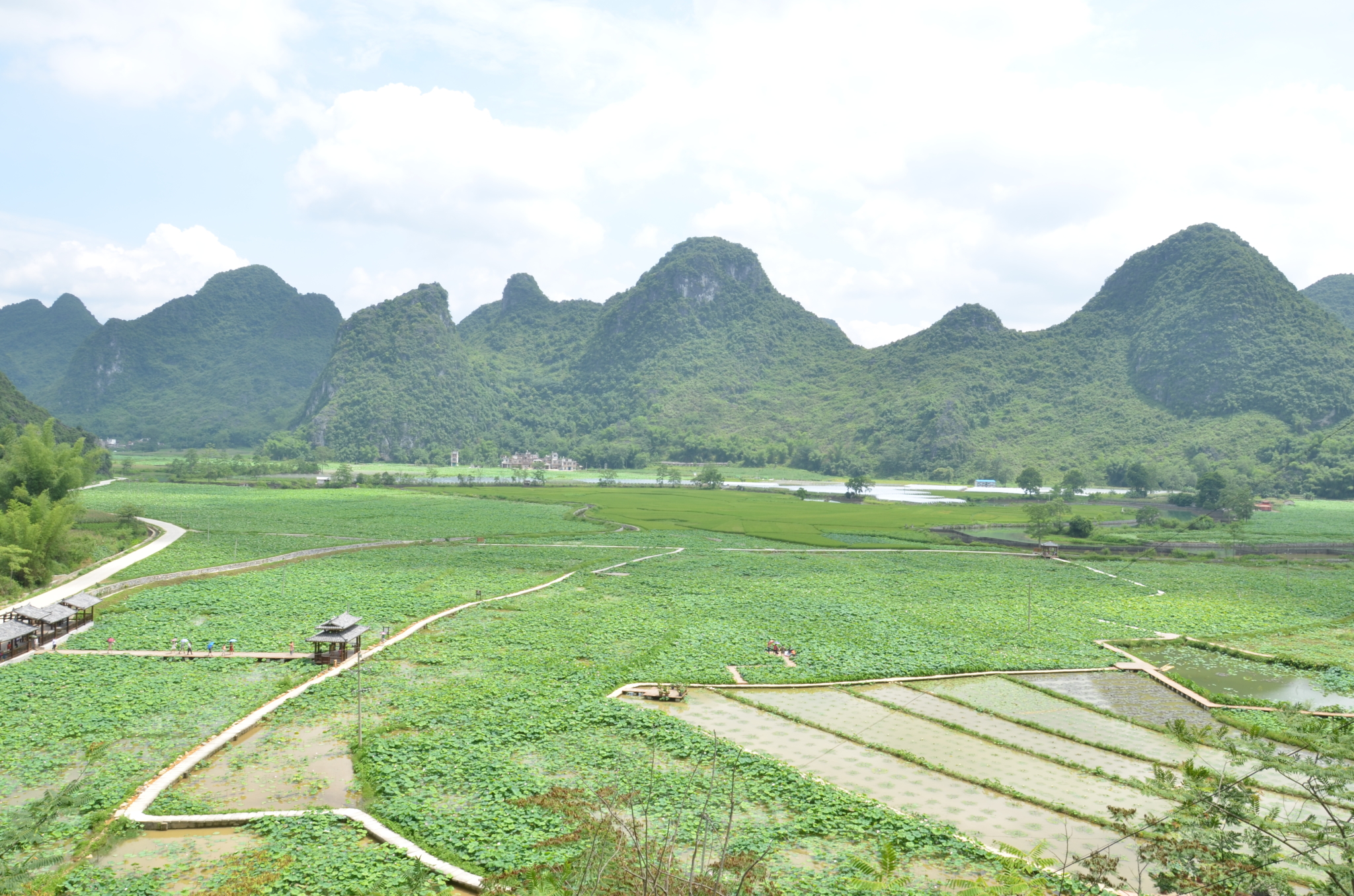 小地方,大景色之广西平果坡造布镜湖莲荷世界图片104,平果旅游景点