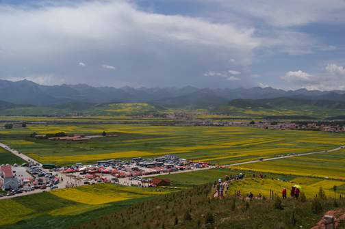 青海夏季游玩攻略,青海夏季游玩攻略大全