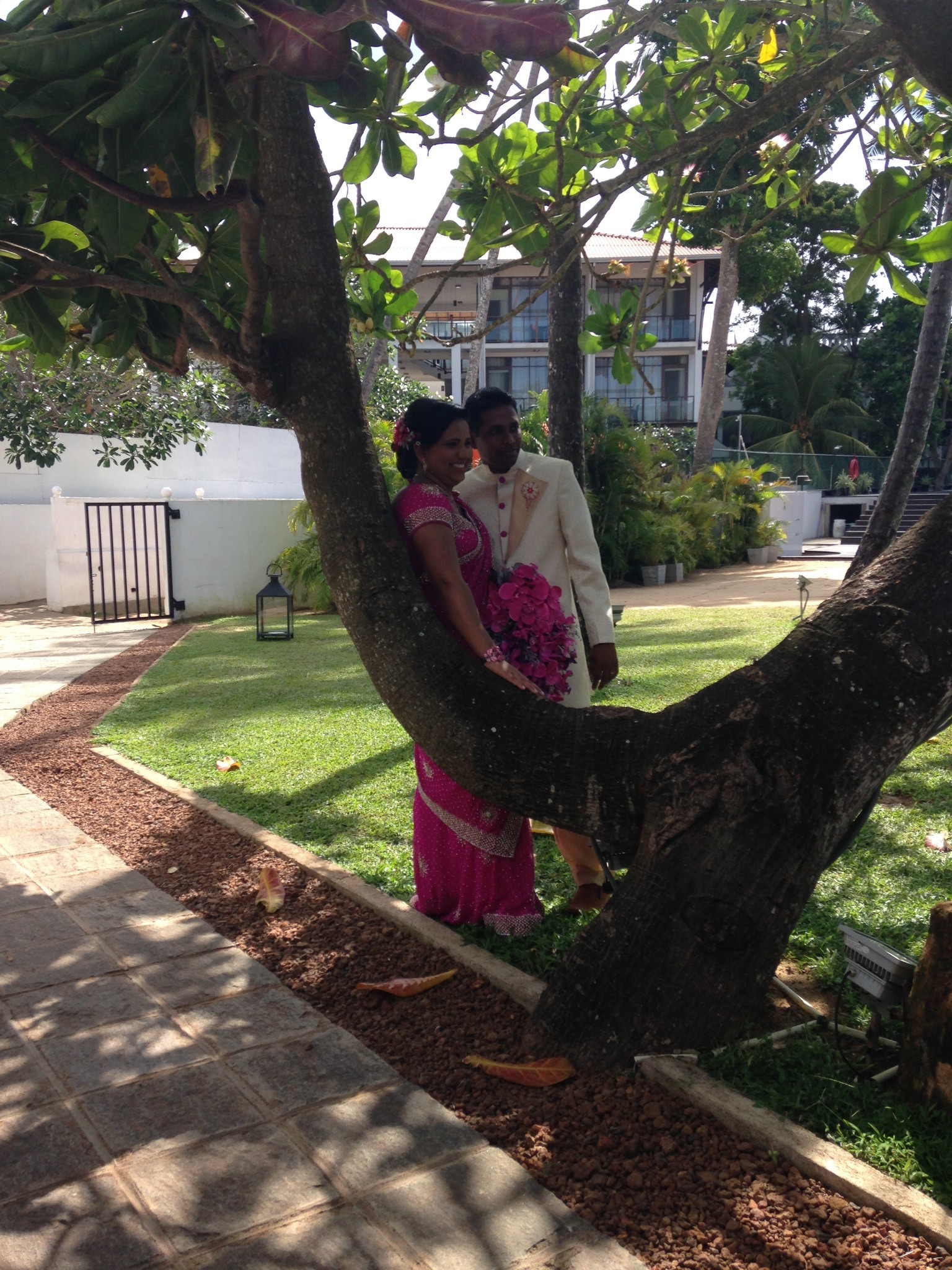 蛇猴猜一成语_木猜一成语疯狂看图(3)