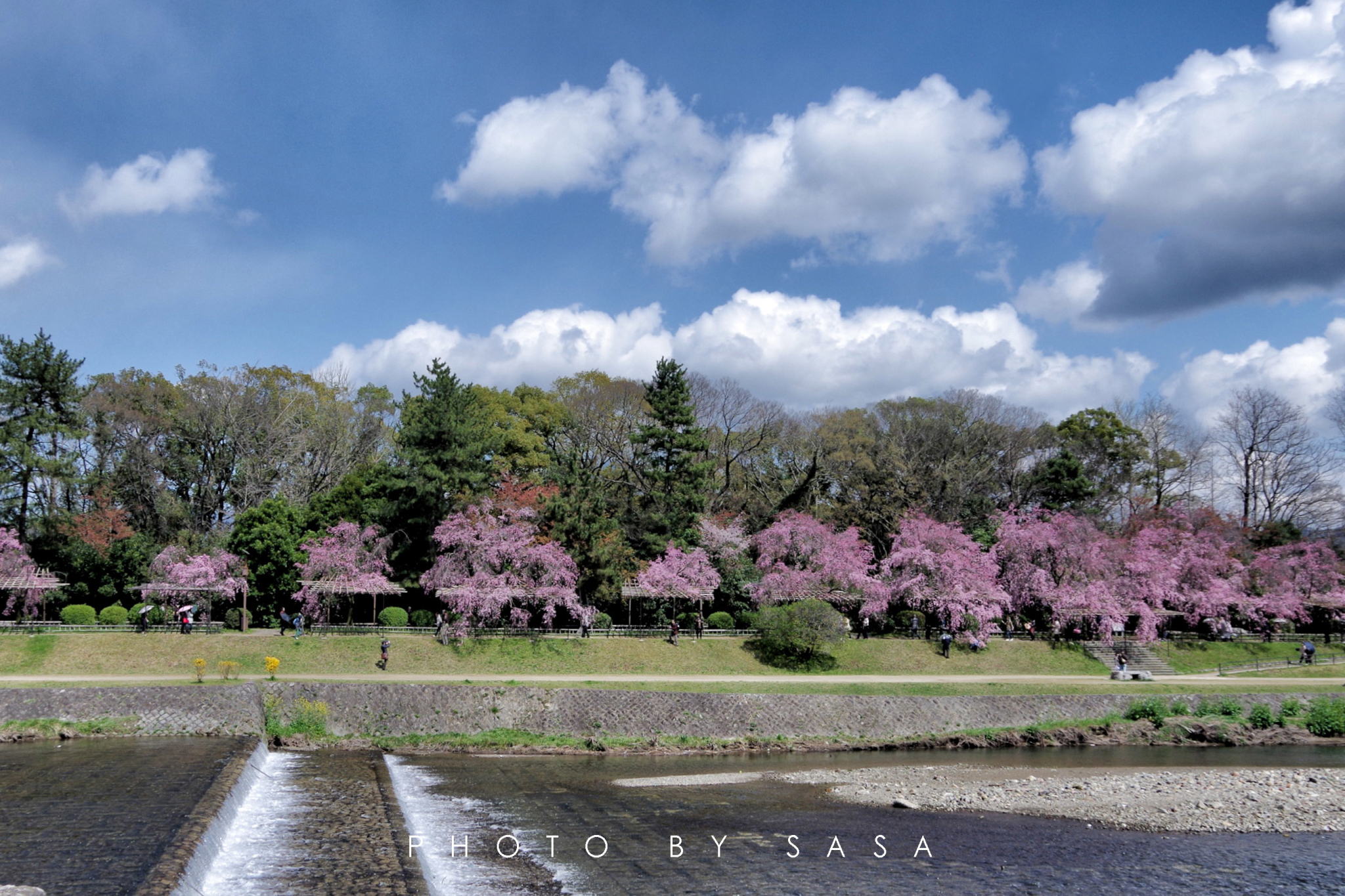 贺茂川