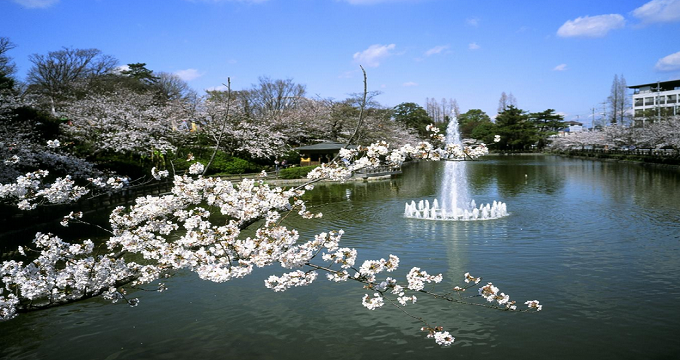 土浦市