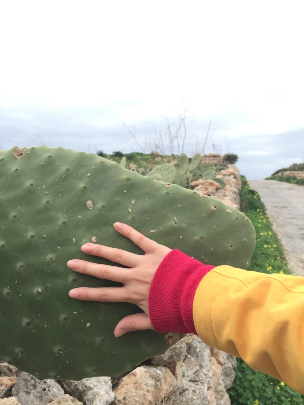 一个人的马耳他。20150107