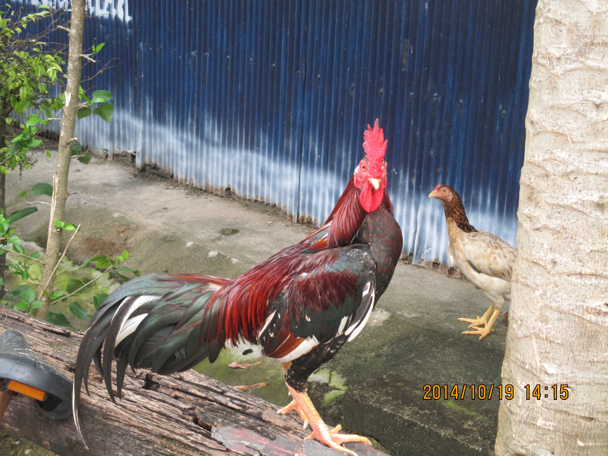 wKgB6lTXadKAaEilAAzLxWSBPhM57.jpeg?imageView2%2F2%2Fw%2F600%2Fh%2F600%2Fq%2F90