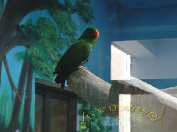 wKgB6lR_4_qAdRw2AADkHbuJQoc07.jpeg?imageView2%2F2%2Fw%2F600%2Fh%2F600%2Fq%2F90