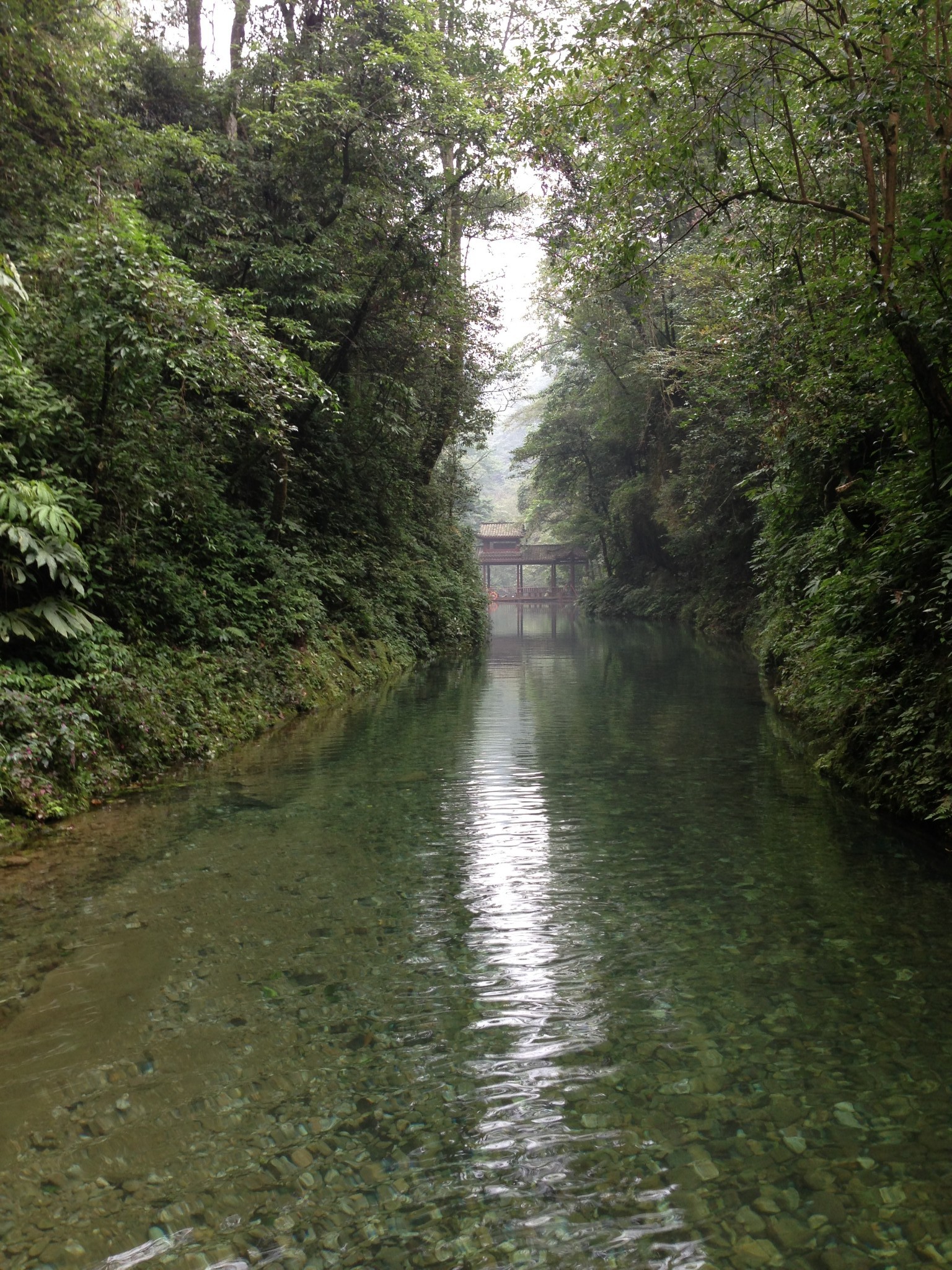 毕业旅行记-成都-都江堰-青城山后山4日单人自由行