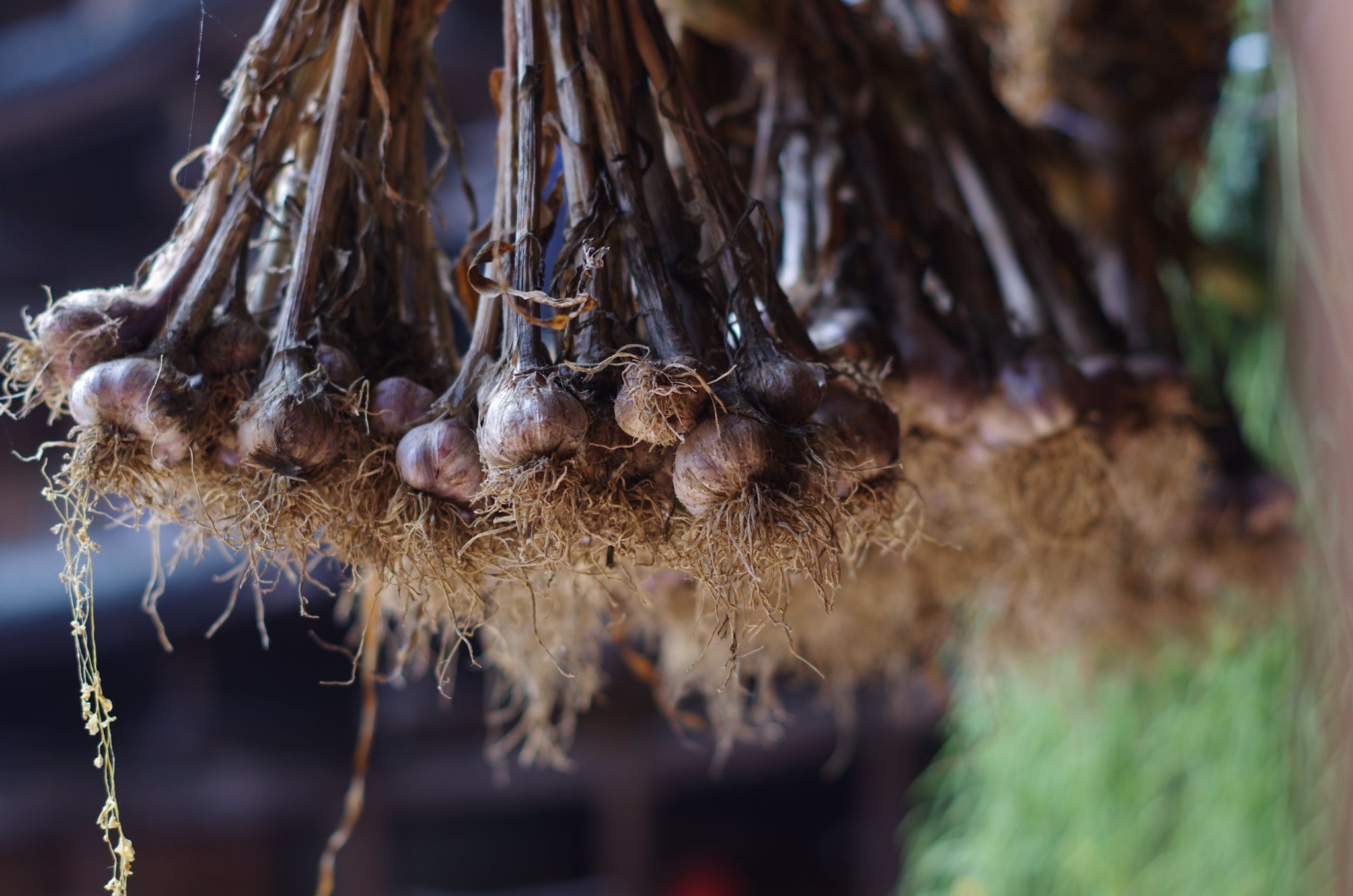 wKgBpVUv0iiAZCOQAAYV6D5_wvA80.jpeg?imageView2%2F2%2Fw%2F600%2Fh%2F600%2Fq%2F90