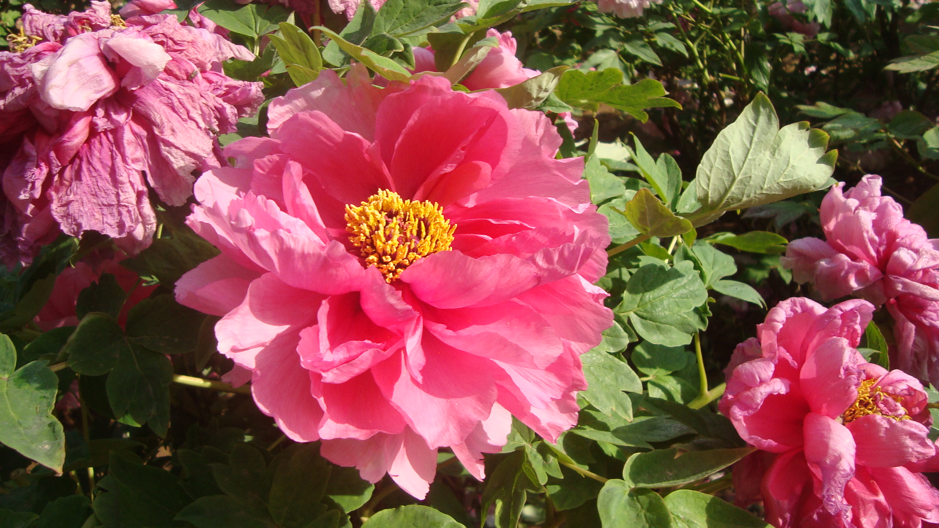 wKgBpVVKIX6ACUHEAA1jU0kbRMQ81.jpeg?imageView2%2F2%2Fw%2F600%2Fq%2F50