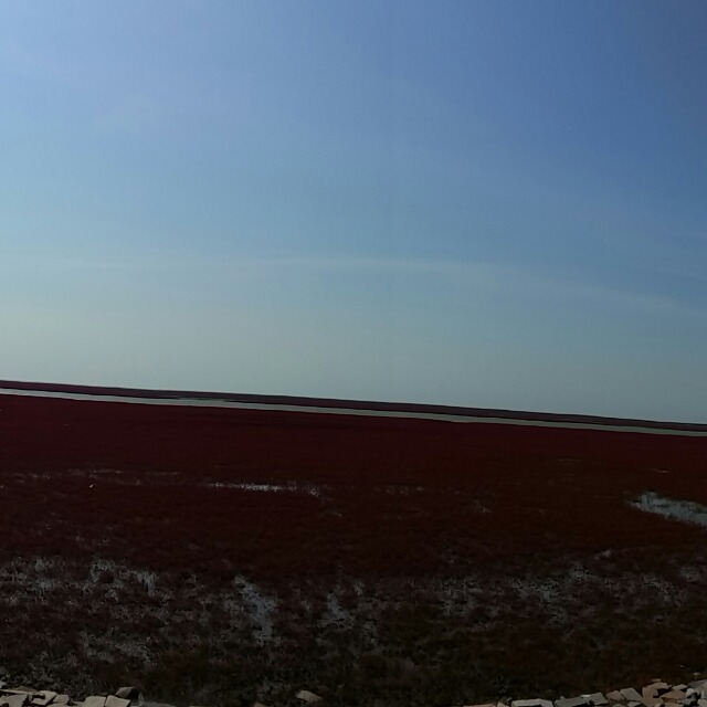 盘锦红海滩婚纱照_盘锦红海滩(3)