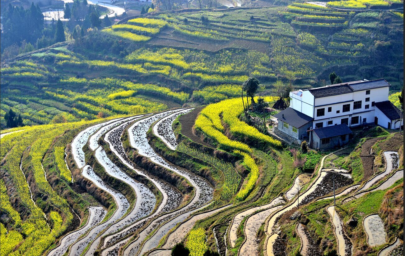 凤堰梯田,遇见阳光,初见你……图片23,汉阴旅游景点,风景名胜 - 马