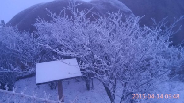 本人三次游黄山的经验总结(纯攻略),黄山自助游攻略