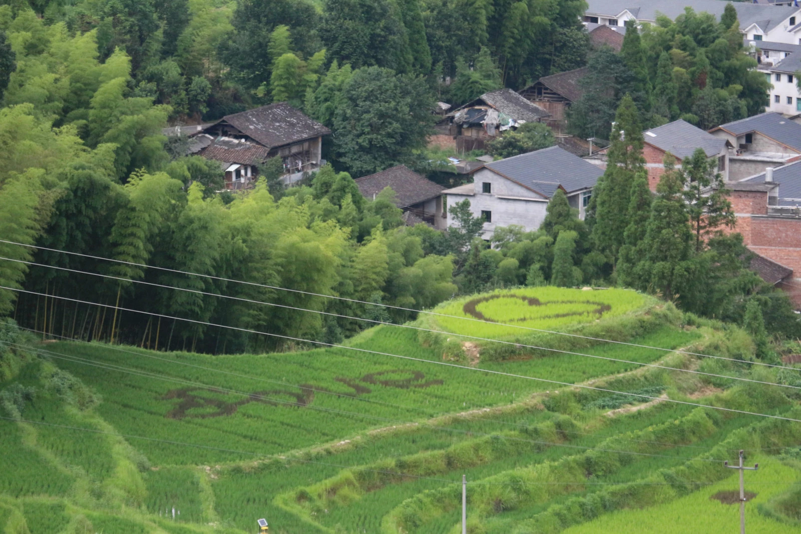 马坑村人口_缙云县马渡村人口名字(2)