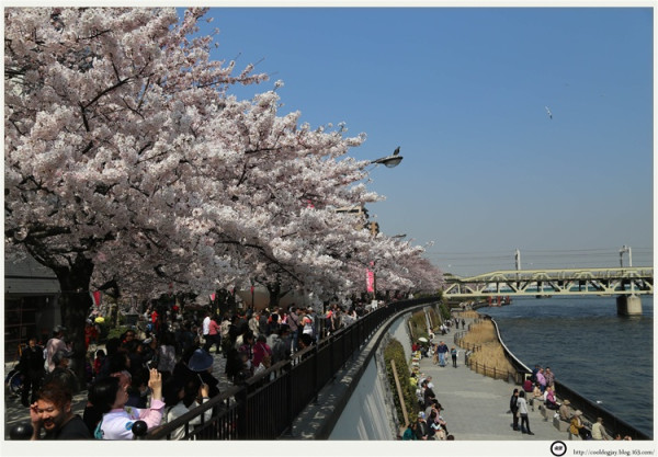 最美丽的第七天 wKgBpVVN2Y6AN9O0AAKY4ybBnrk78.jpeg?imageView2%2F2%2Fw%2F600%2Fq%2F90%7CimageMogr2%2Fstrip%2Fquality%2F90