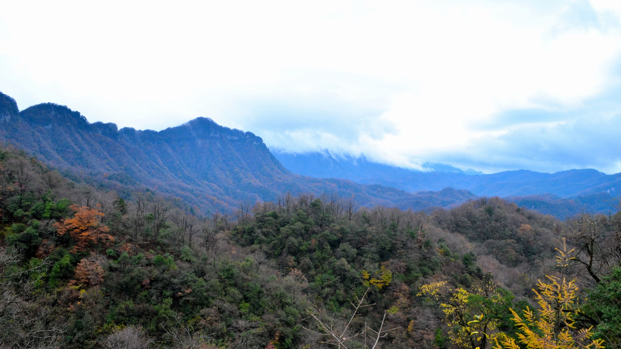 九台到南江旅游