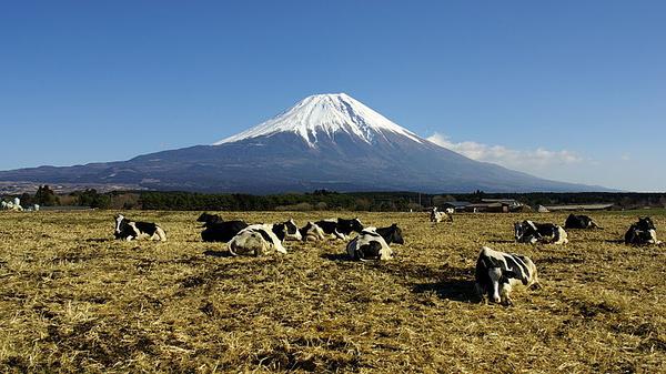 富士山摄影指南日本富士山拍摄指南最佳拍摄地点周边住宿