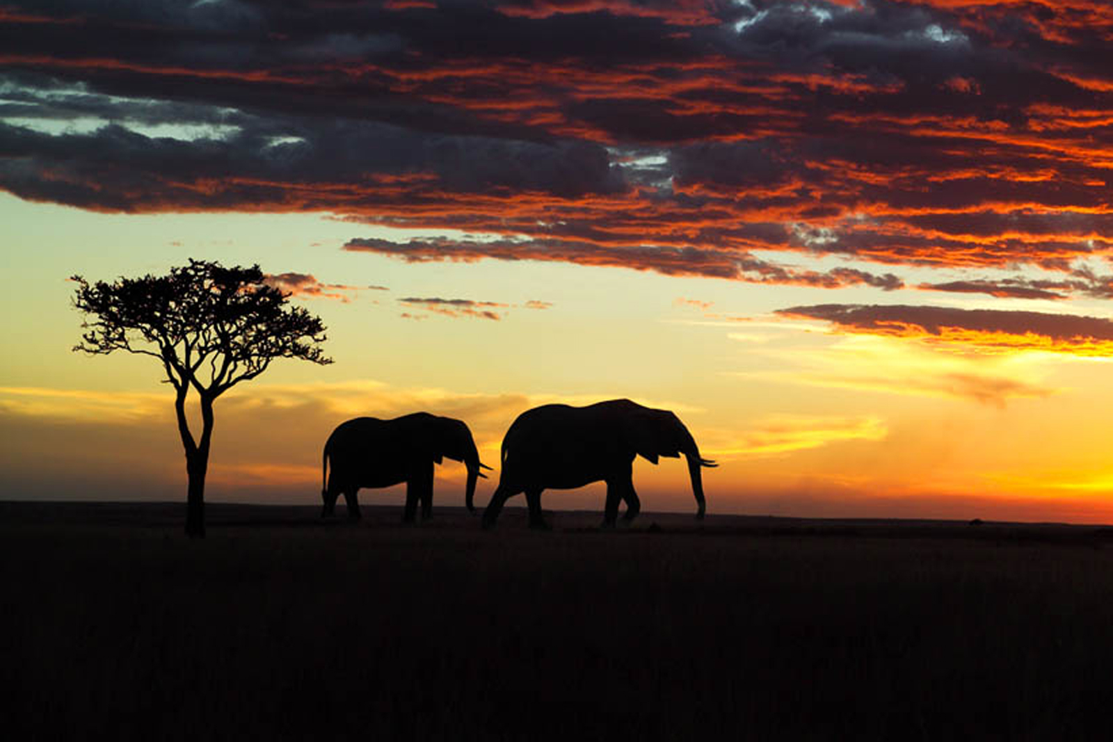 去肯尼亚最佳月份