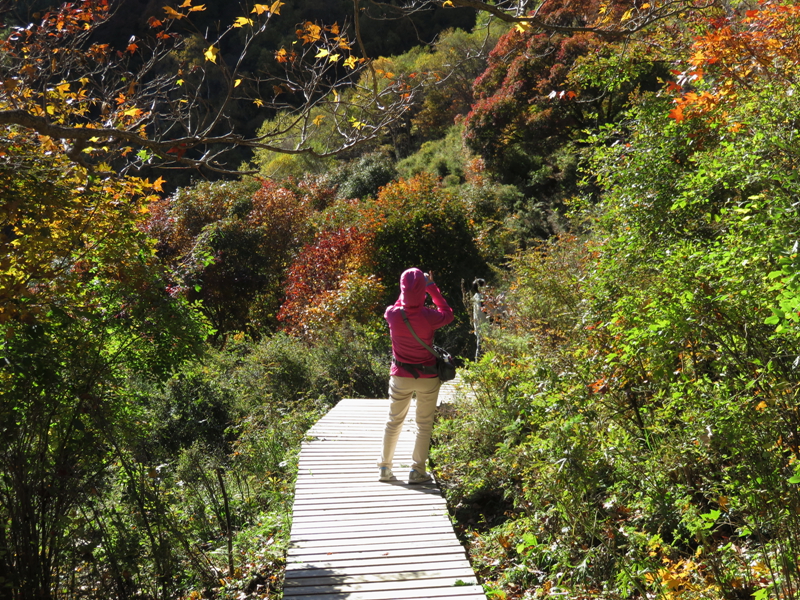 北京门头沟灵山古道(聚灵峡)秋色:徒步登顶主峰