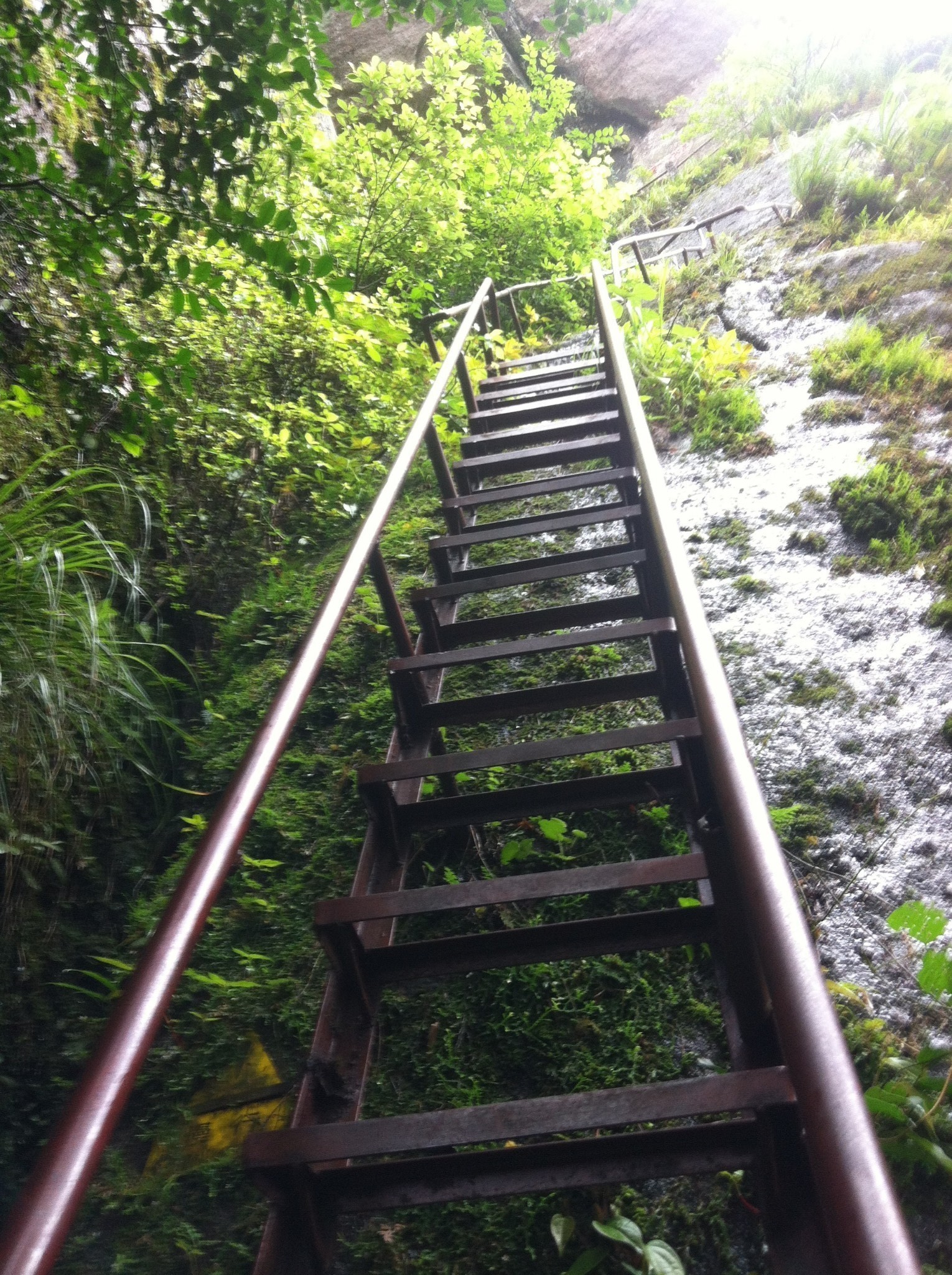 武夷山旅游攻略虎啸岩隐屏峰玉华峰天游峰大红袍