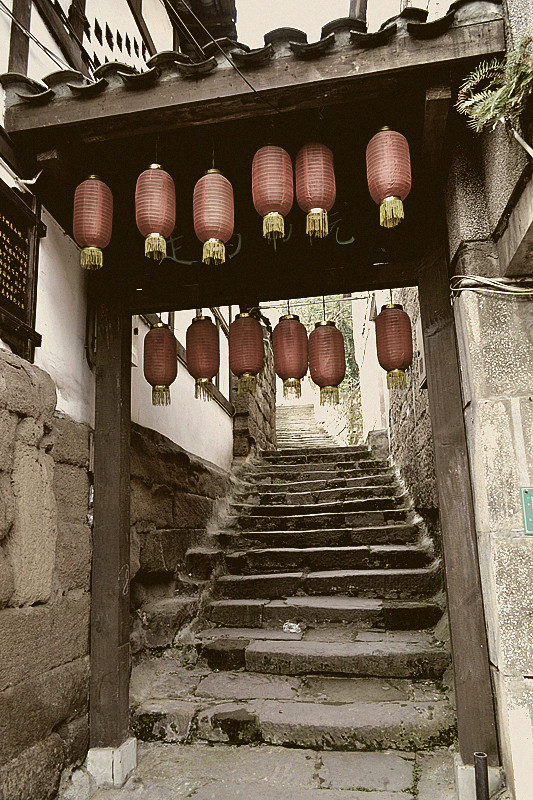 大重庆闲逛之九龙坡区走马古镇,白市驿森林公园一日行