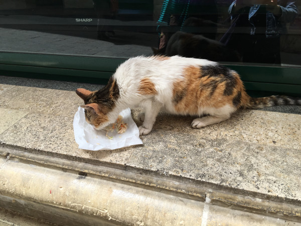 纯粹的像个孩子 马耳他,马耳他旅游攻略