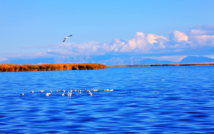 利川GDP_大道如砥走通途 饱蘸浓墨写新篇(2)