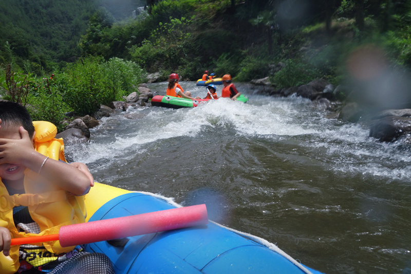 浙江漂流排名_浙江毒蛇排名图片