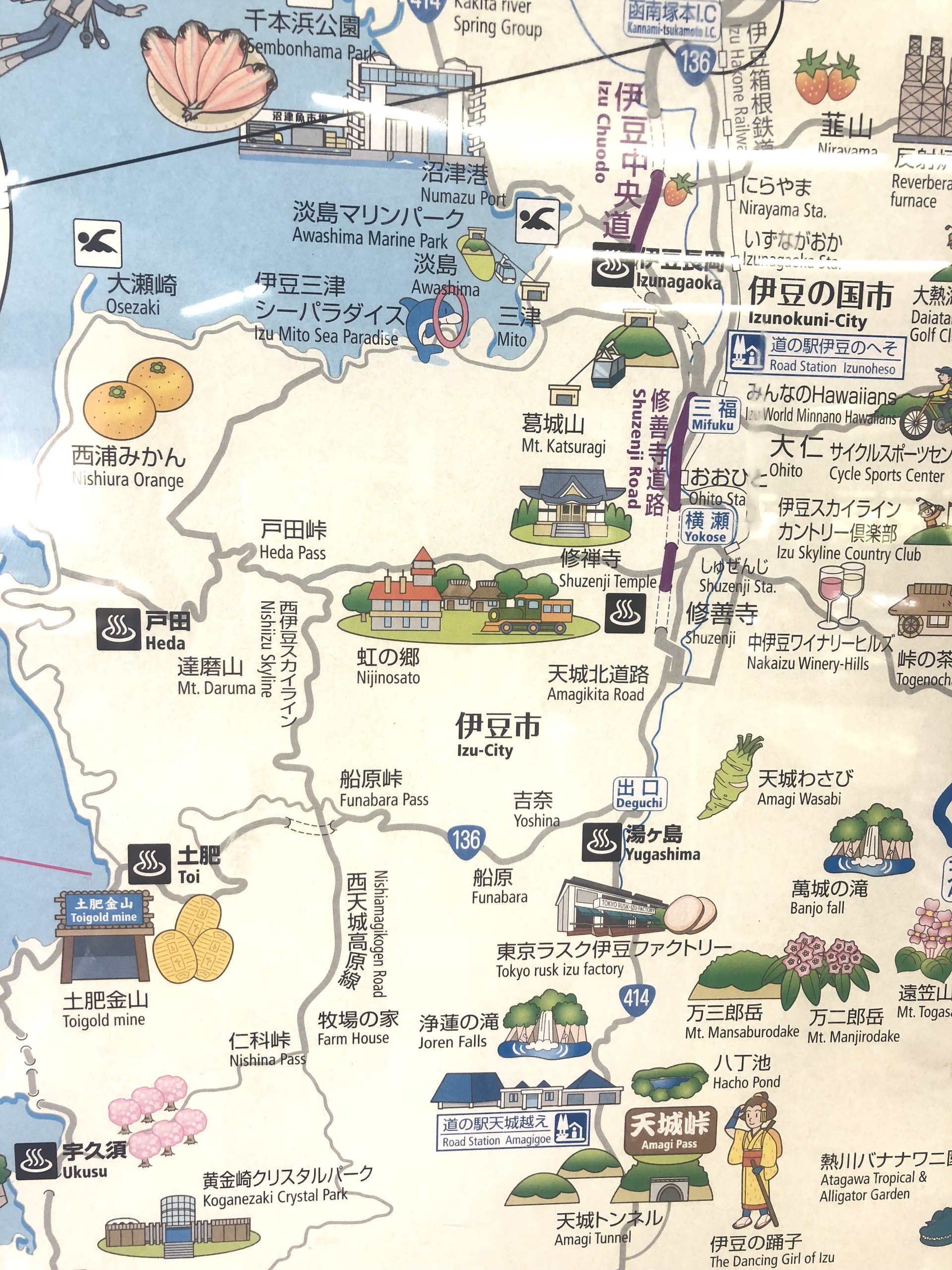 景点位置>静冈县伊豆市>305_183