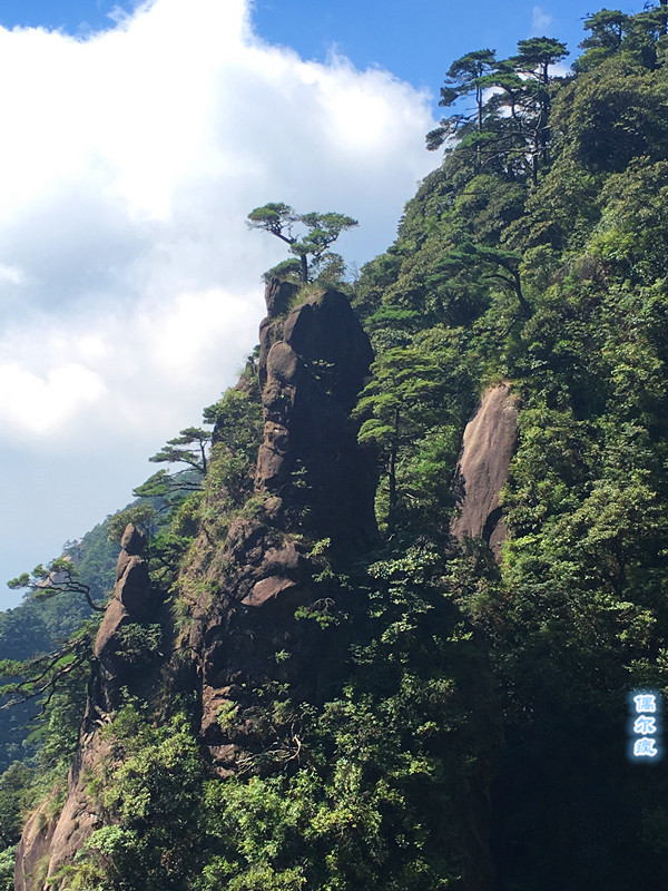 偶尔疯一场—说走就走的三清山之旅,三清山旅游攻略 马蜂窝