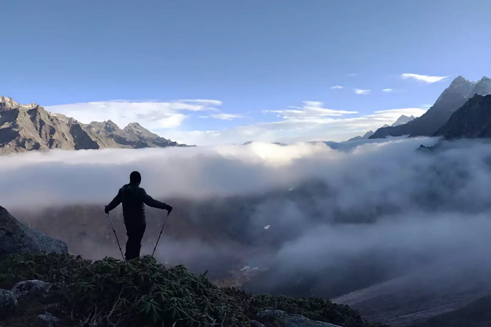 稻草人也站在未开的高山杜鹃前,留下了一个伟岸的背影!
