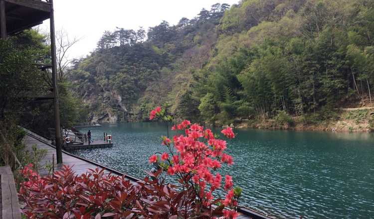 【森林生态】黄山祁门牯牛降风景区(特惠电子票 随到随进)