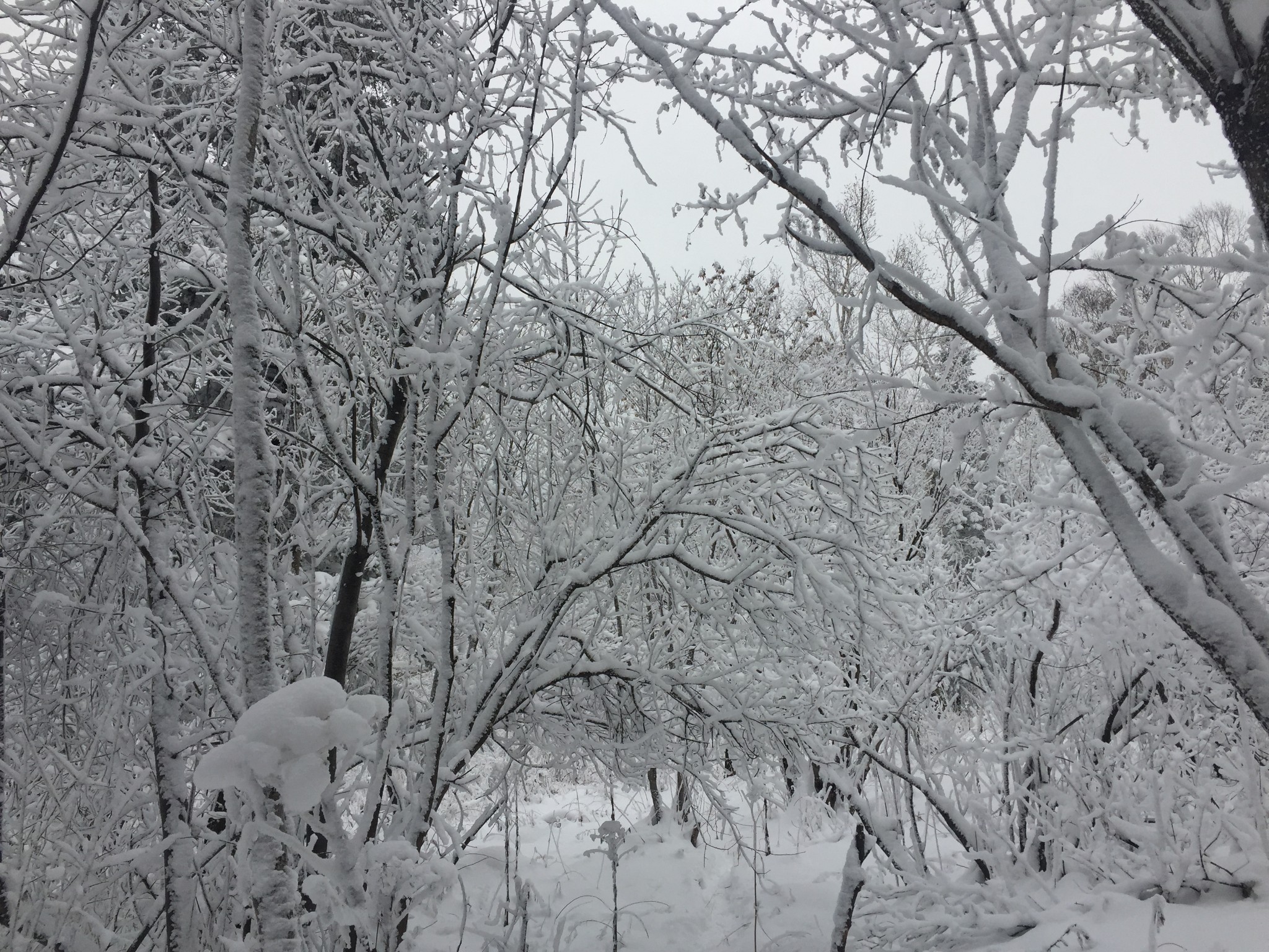 一路向北 去北方以北 感受最冷的寒冷 触摸最雪的雪天