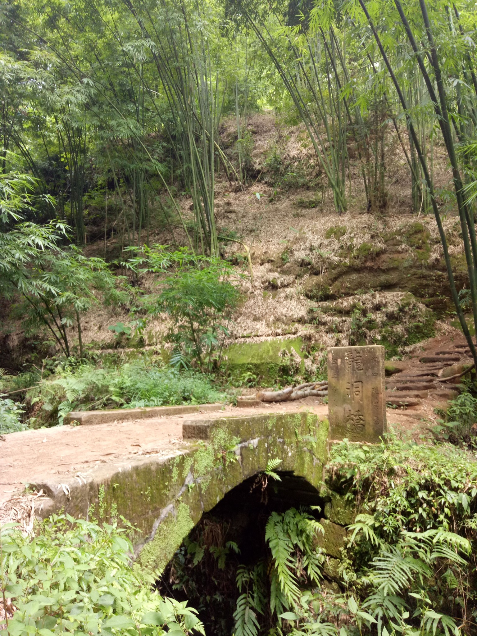 邛崃居住人口_邛崃天台山图片(2)