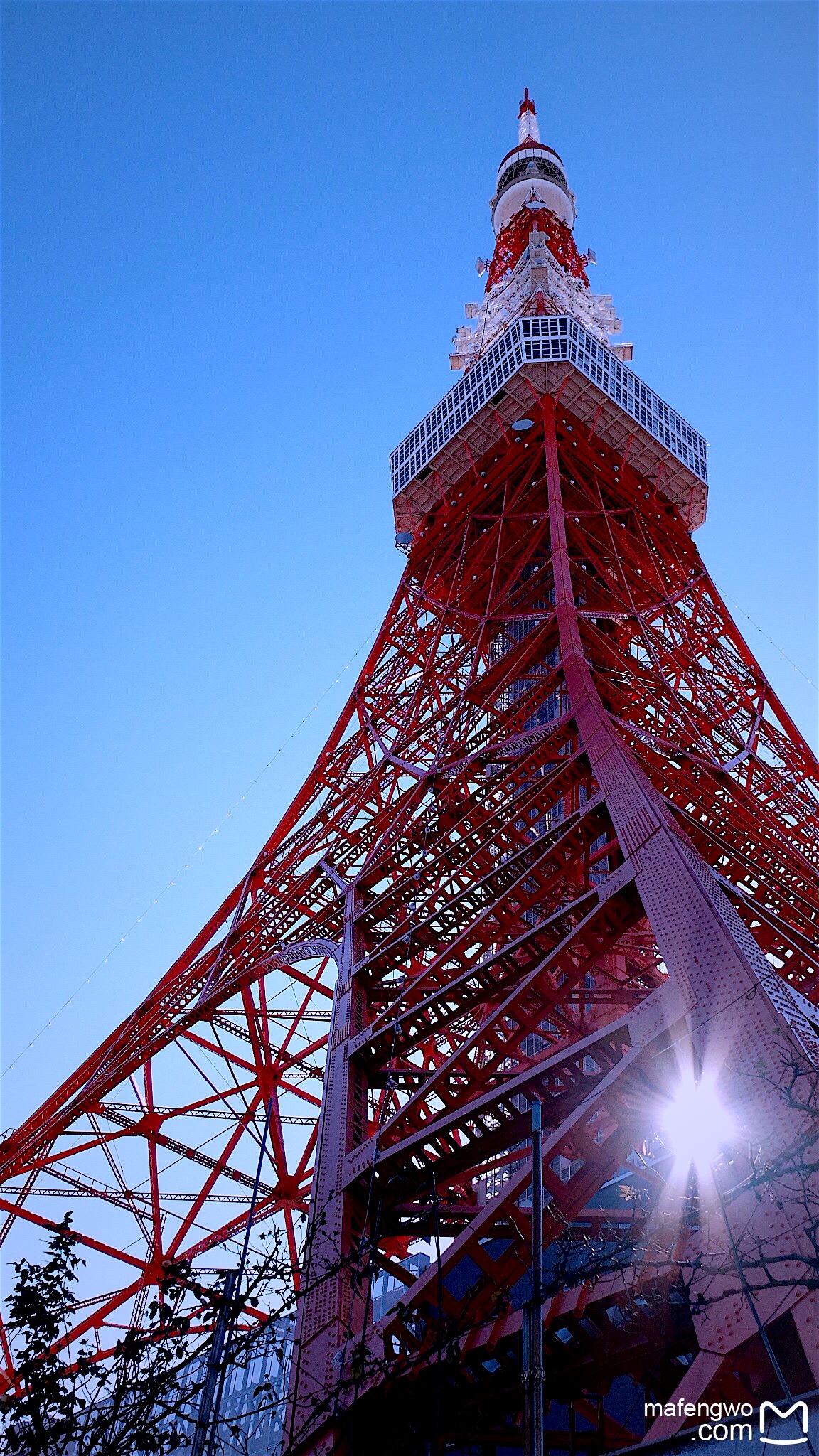 日本,11天轻文艺旅行.