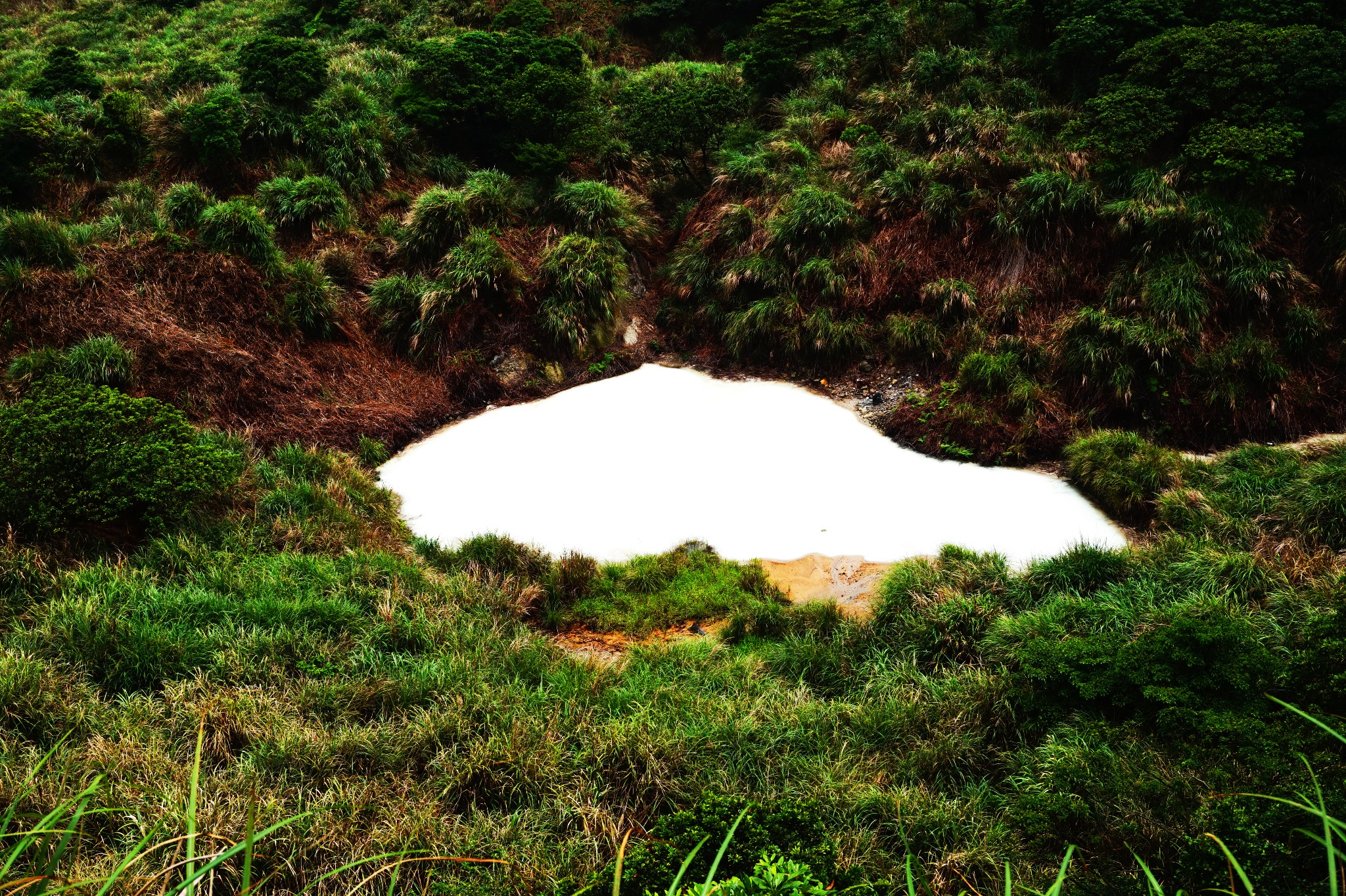 阳明山牛奶湖