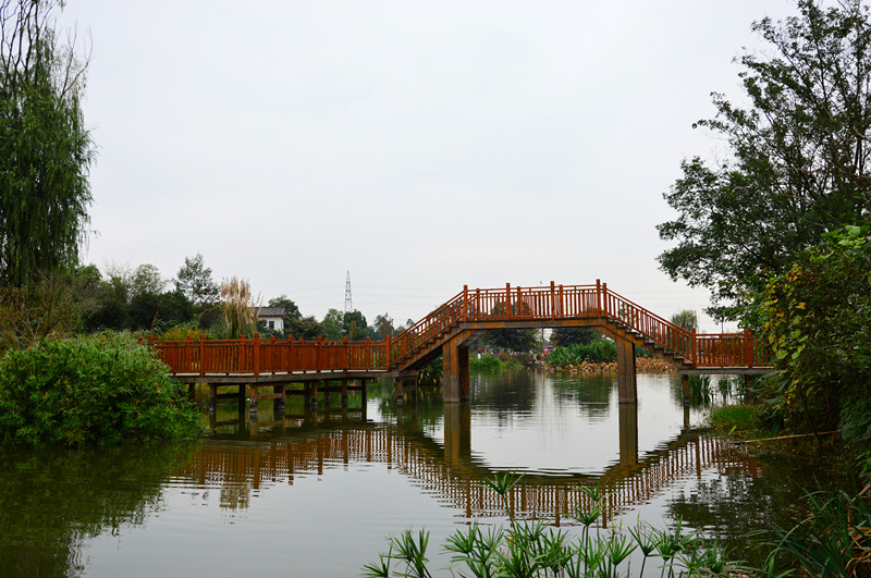 青杠树村香草湖——湖绕村中,人在画中