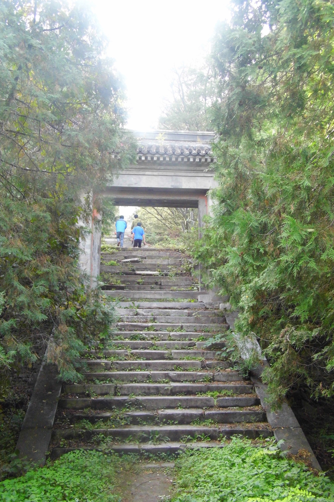 阳台山自然风景区       