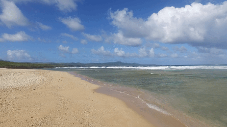 海滩位于塞班岛的北部,因形似鳄鱼而得名,远远望过去,就看到一头凶狠