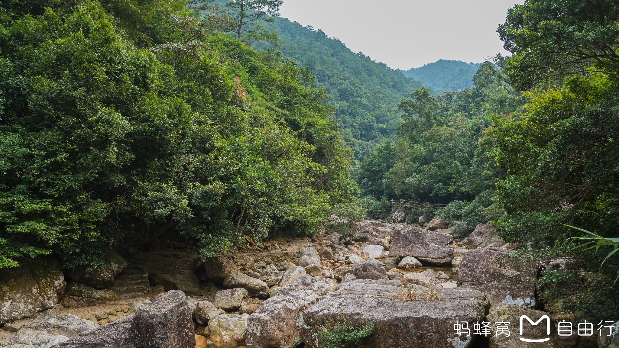 十万大山内部人口_十万大山