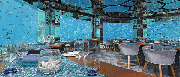 选岛。毕业急AKV、JD、W,AV哪一个好呢