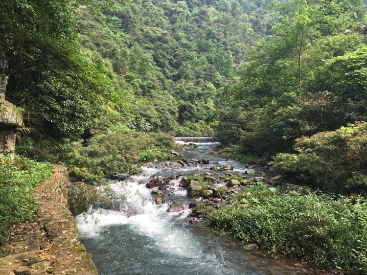 蒙山县景点