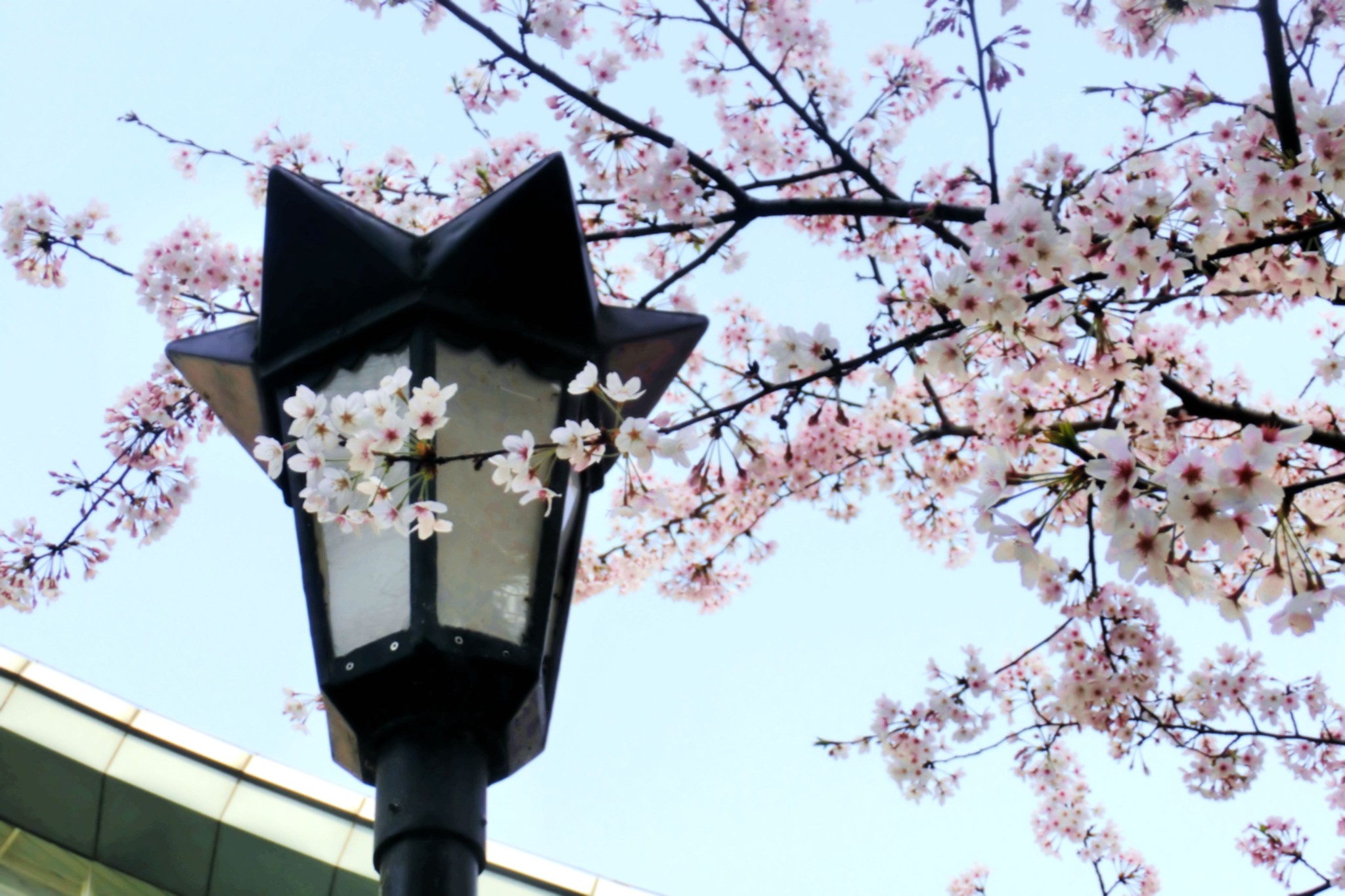 几月份去南京最好，天气怎么样，去几天合适