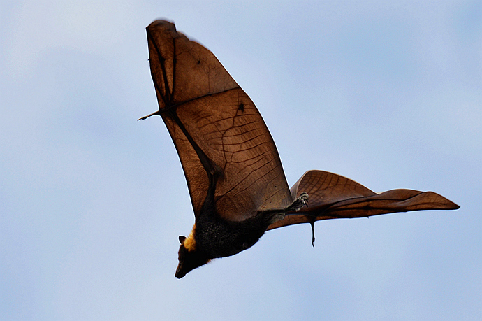 wKgBs1Y8Nc-AINjPAANZxbU9CTk06.jpeg?imageView2%2F2%2Fw%2F600%2Fh%2F600%2Fq%2F90