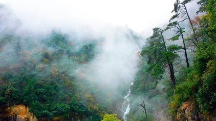 临安东天目山景区门票