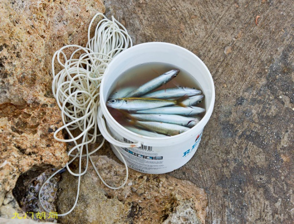 马耳他的“蓝洞”,马耳他旅游攻略