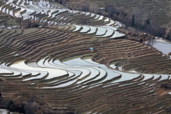 为什么叫元阳梯田 wKgBs1dqOoyAUTCRAAs9UMszMss49.jpeg?imageView2%2F2%2Fw%2F600%2Fh%2F600%2Fq%2F90