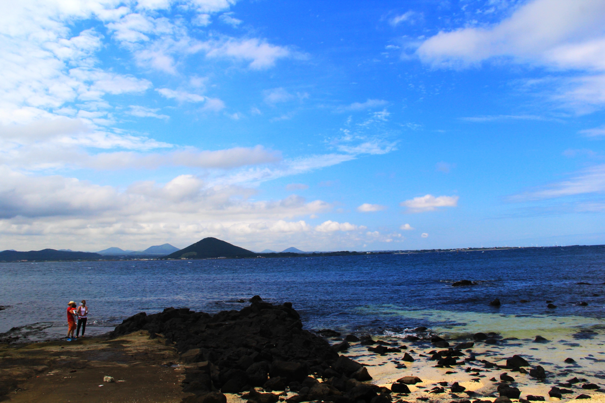 济州排名_济州真柏盆景图片(2)
