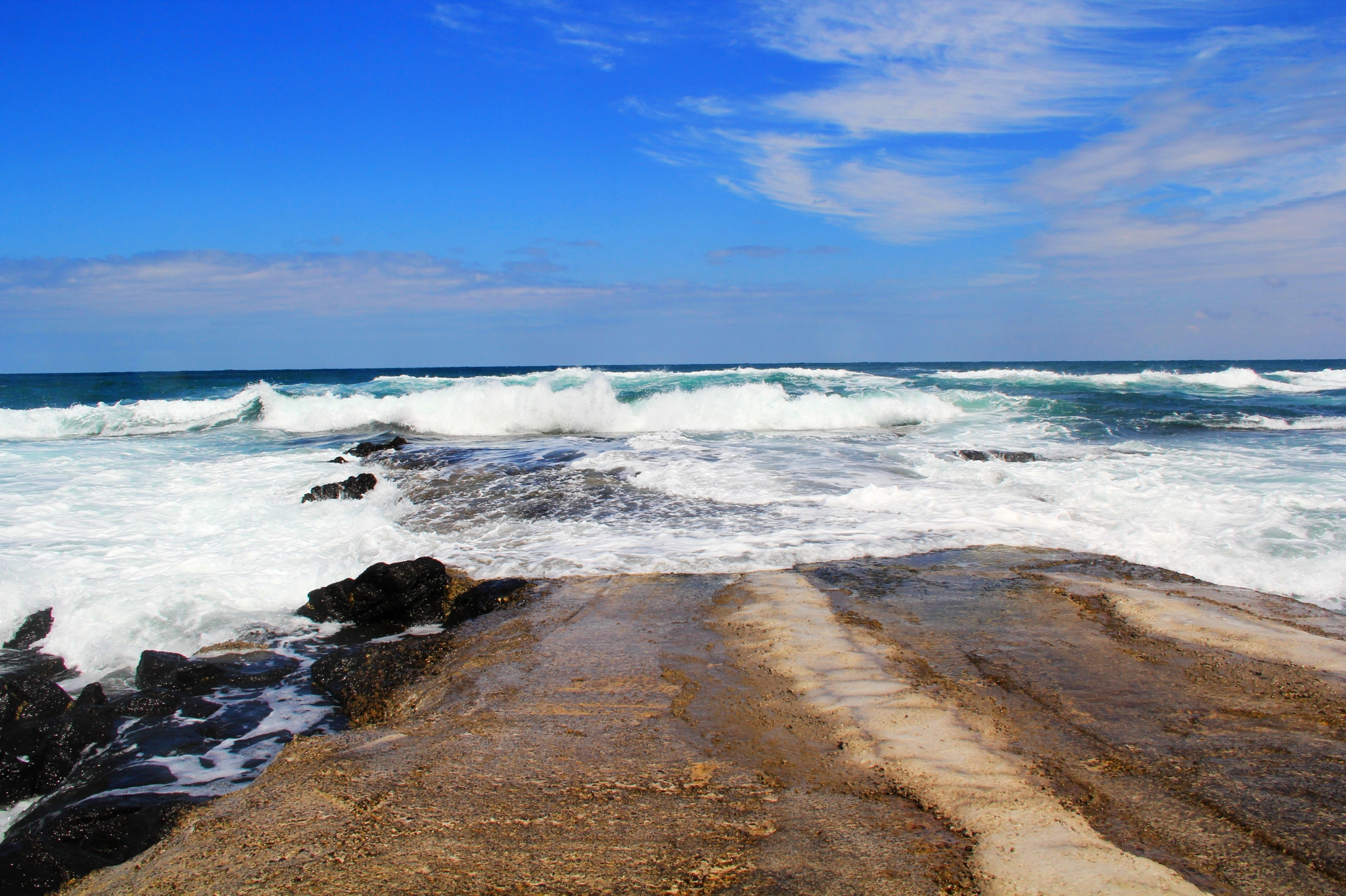 济州排名_济州真柏盆景图片(2)