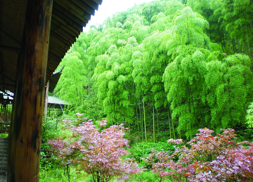 中国大竹海景区电子票 卧虎藏龙拍摄地