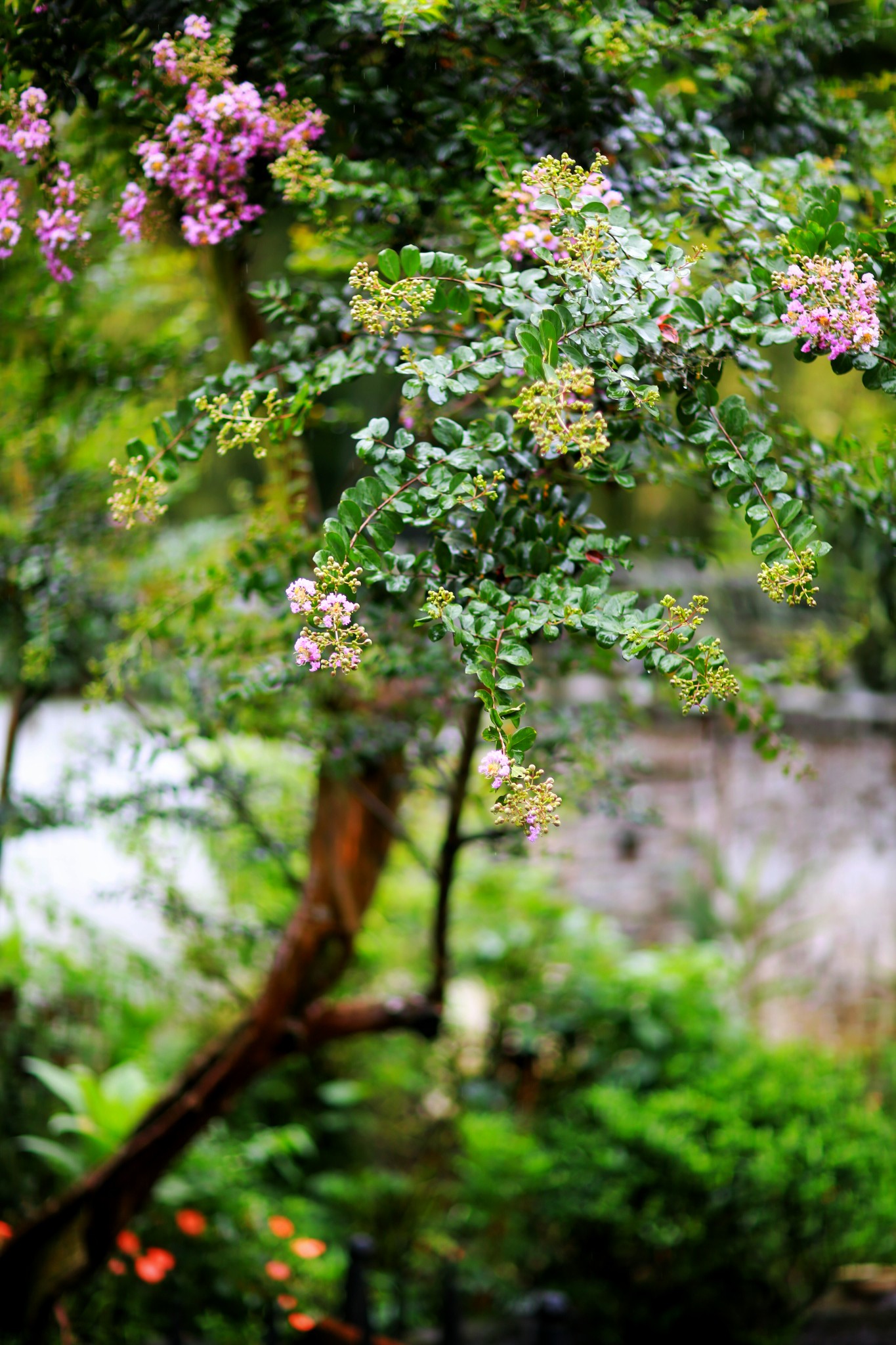 山重水路疑无路柳暗花明又一村猜成语