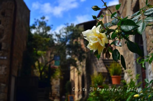 在天空之城,西西里和马耳他的七天,马耳他自助